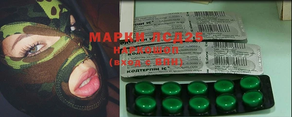 ECSTASY Вяземский