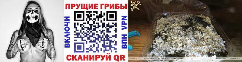 Галлюциногенные грибы Cubensis  Железногорск 