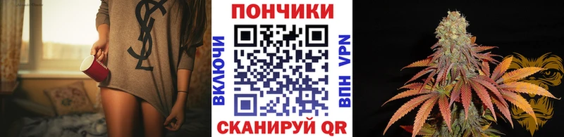 Бошки марихуана ГИДРОПОН  где купить наркотик  Железногорск 